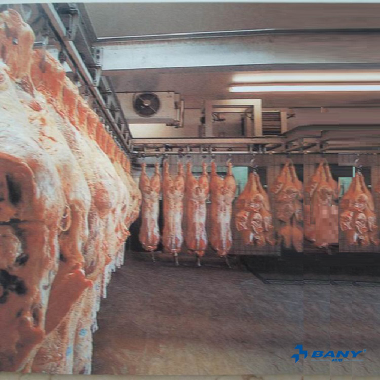 鮮肉冷凍庫(kù)